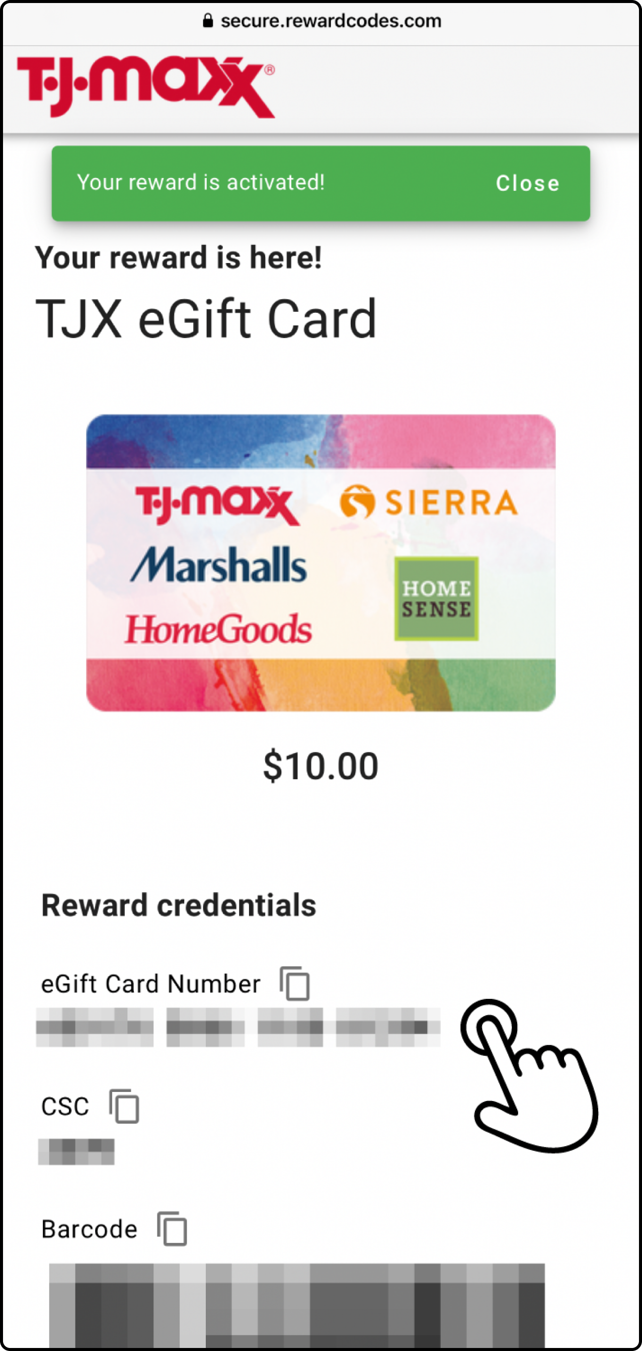 4 - Spanish Seeing details.png